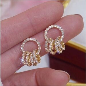 Elegant Gold NWT Circle Earrings